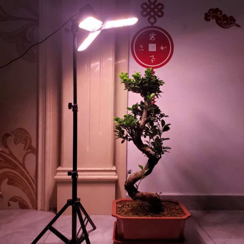 Support d'ampoule 2M, douille  - Photography Bulb avis et prix