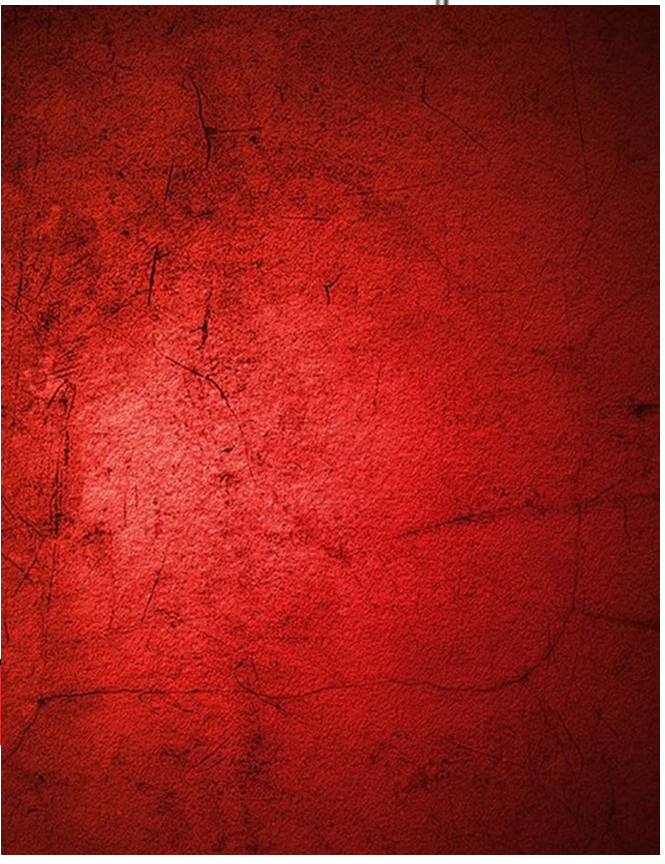 Toiles de fond rouge foncé Joh - Photography Dark Cloth avis et prix